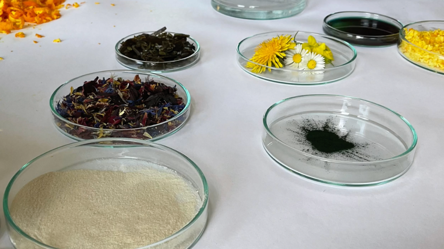 biomaterialien-algen-gelee-herstellung-schlueter-schuetze.m4v